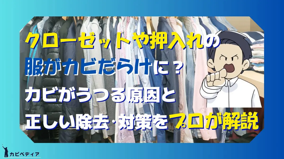 クローゼットや押入れの服がカビだらけに？カビがうつる原因と正しい