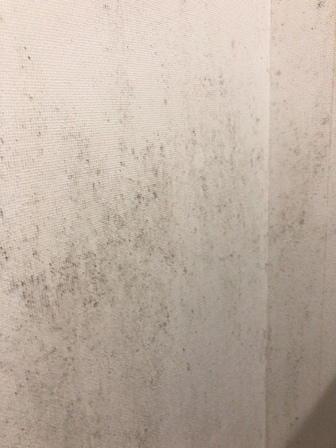 洗面所のタオル掛けの壁にカビが 落とす方法は カビペディア ハーツクリーン監修年間0万人がみるカビ取り情報サイト