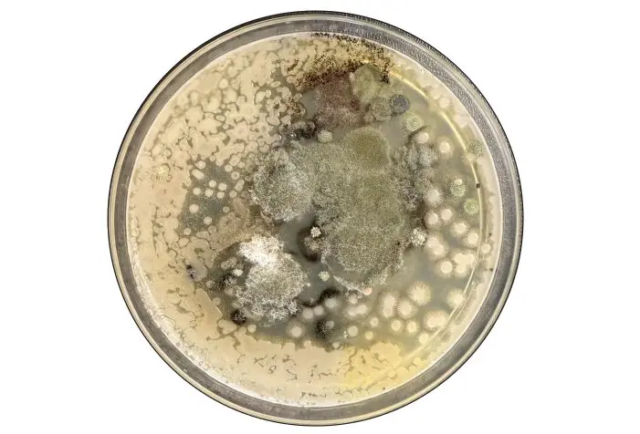 くそカビ 家のカビ対策完全ガイド｜カビが生えやすい9つの場所と予防・収納の