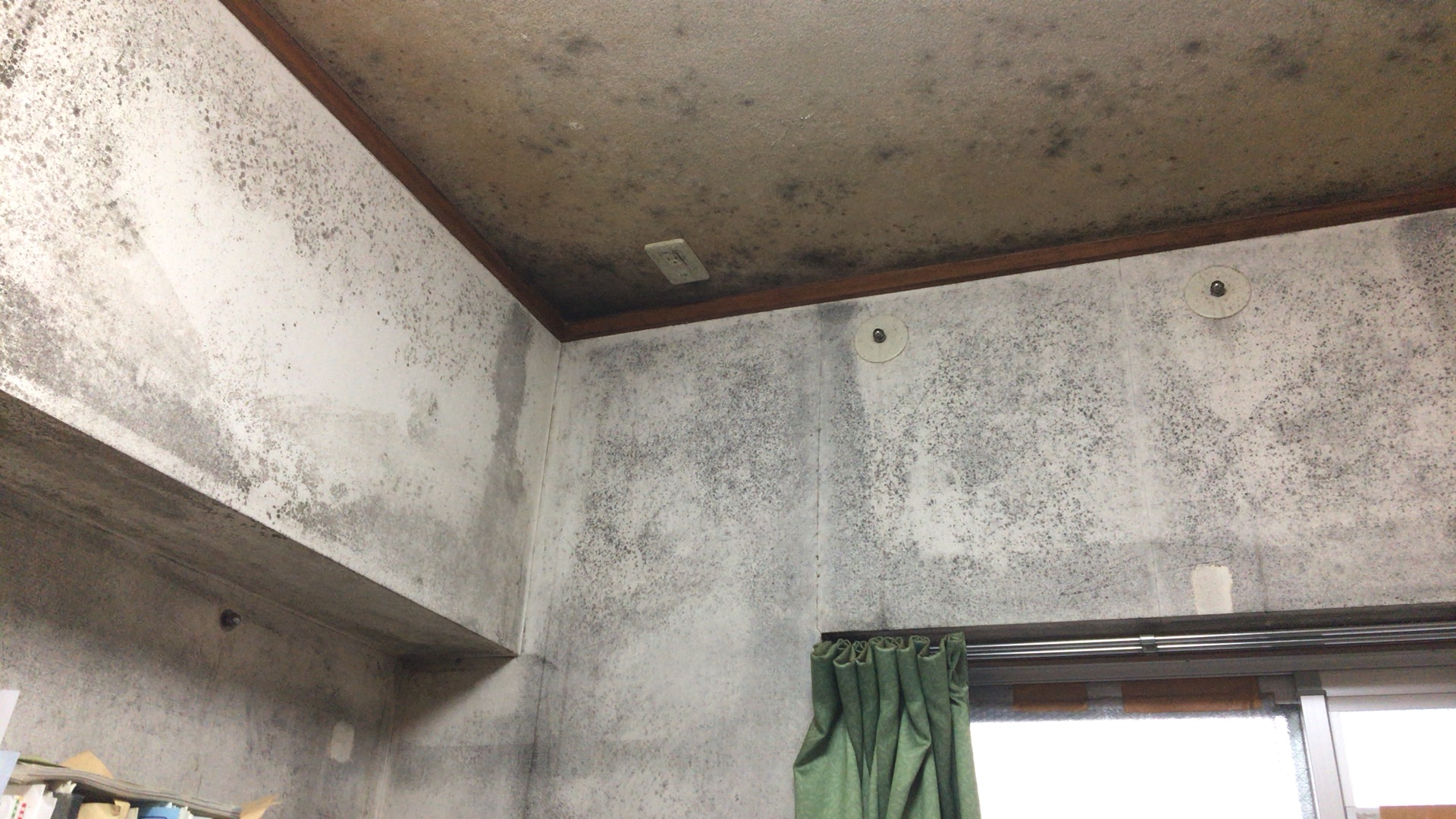 天井のカビを放置すると危険 除去と予防法について解説 カビペディア カビの悩みならカビペディア