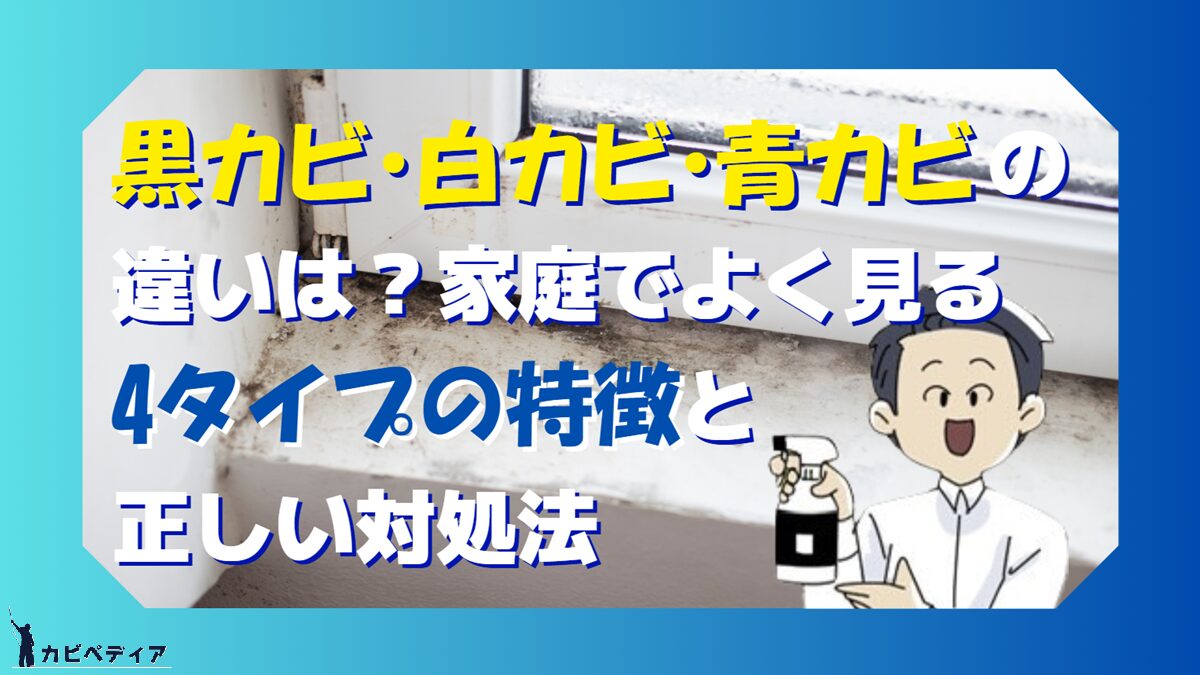 黒カビ・白カビ・青カビの違い