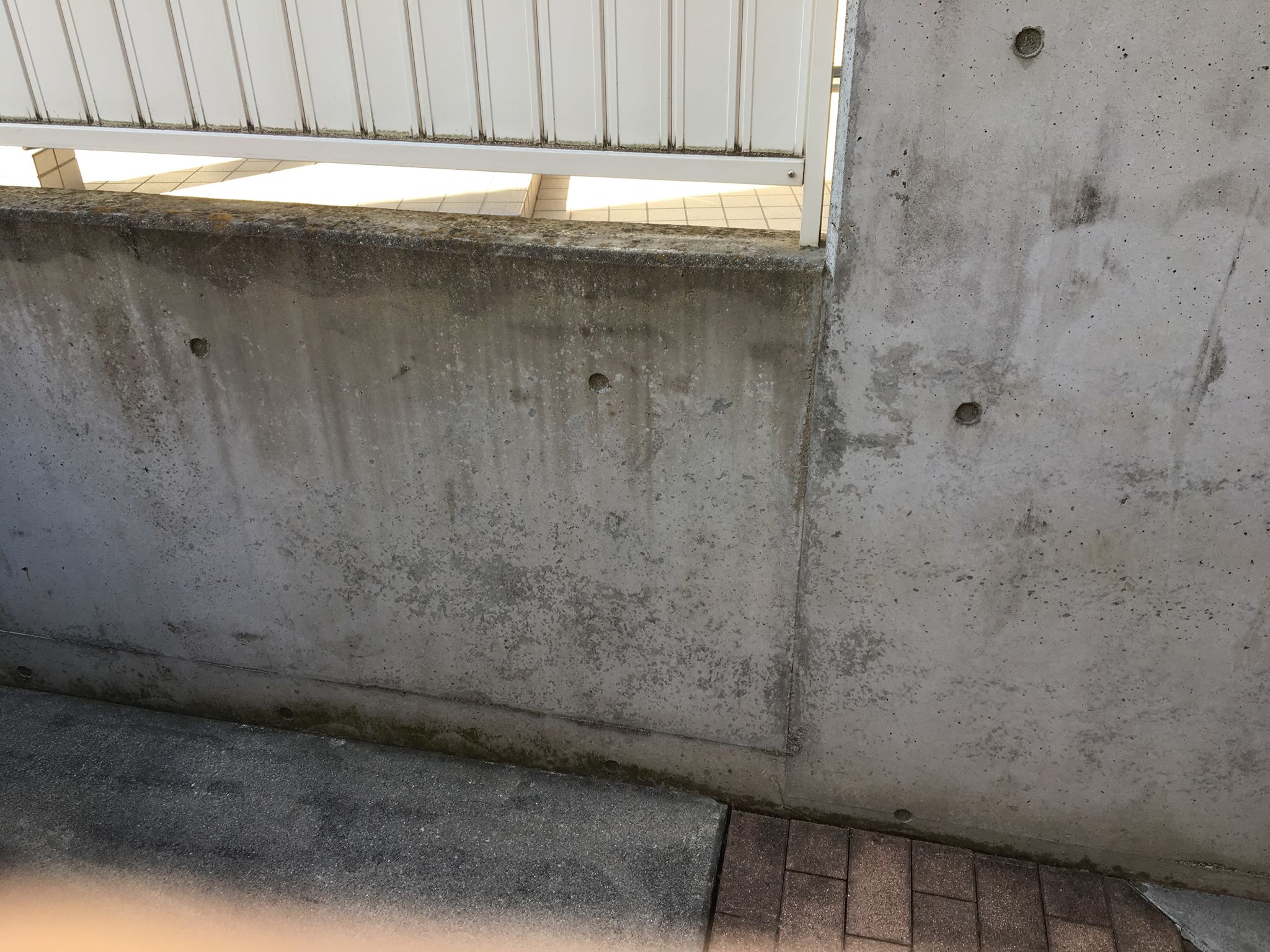 コンクリートのカビを除去 予防する方法 カビペディア カビの悩みならカビペディア