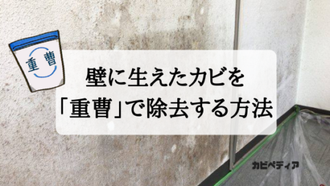 法廷 メッセンジャー 熟練した 壁紙 カビ 落とす Ks Hometecs Jp