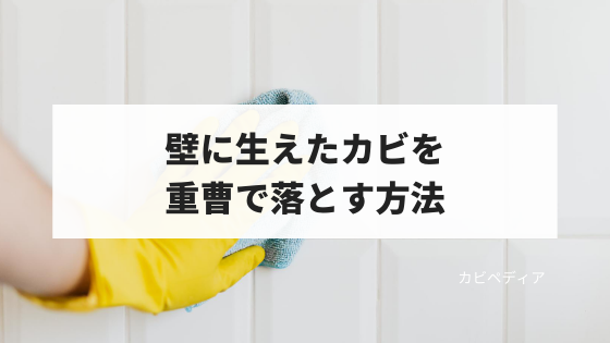 壁に生えたカビも重曹で落とせる 重曹でカビを取る方法 カビペディア ハーツクリーン監修年間0万人がみるカビ取り情報サイト