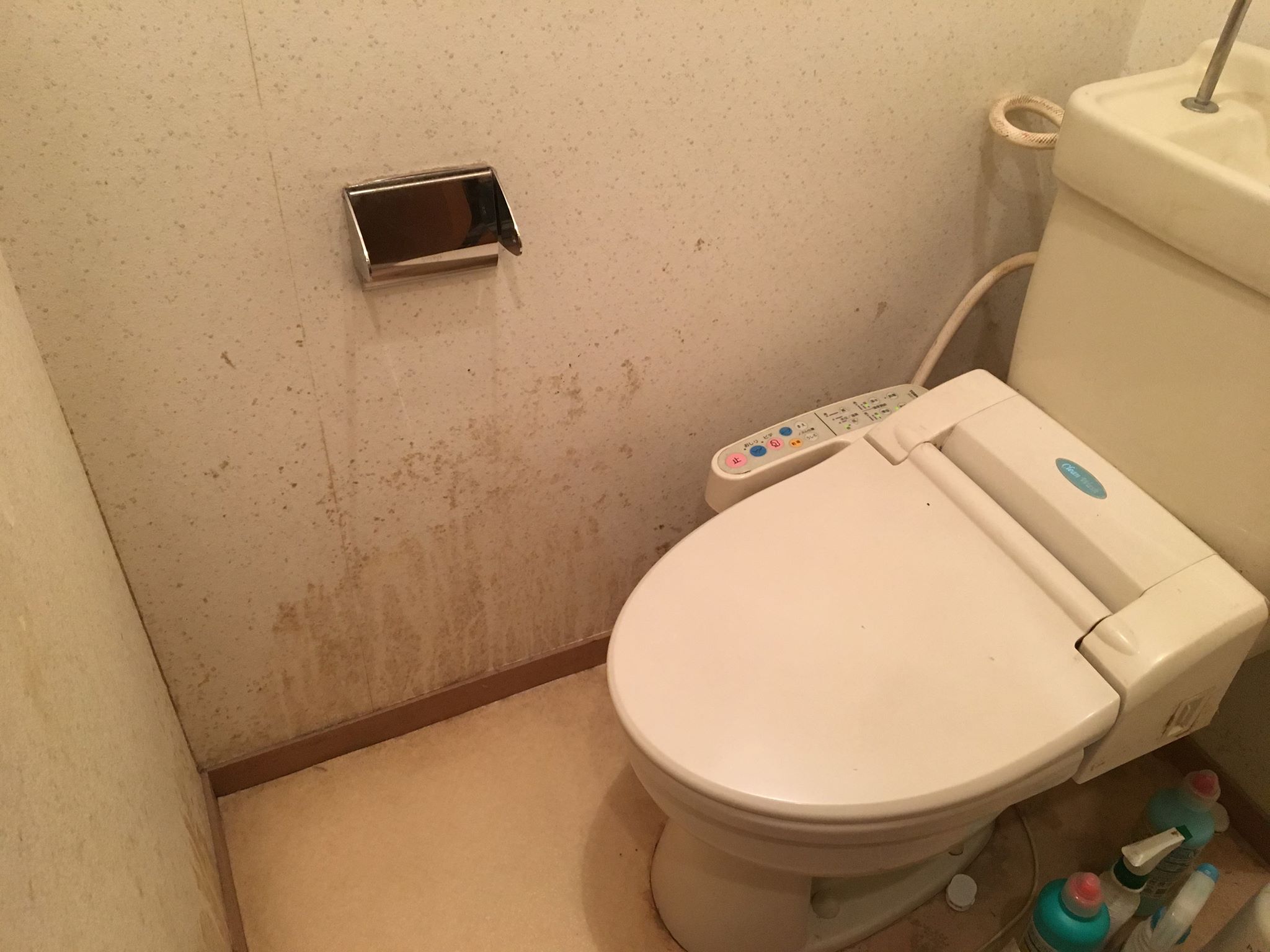 密室キケン 死にかけた トイレの黒カビを除去する方法と注意点 カビペディア ハーツクリーン監修年間0万人がみるカビ取り情報サイト