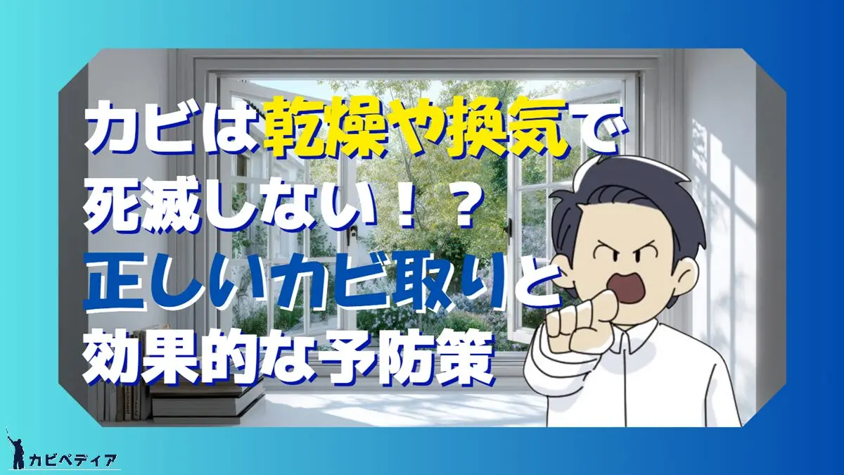 カビは乾燥や換気で死滅しない！？正しいカビ取りと効果的な予防策