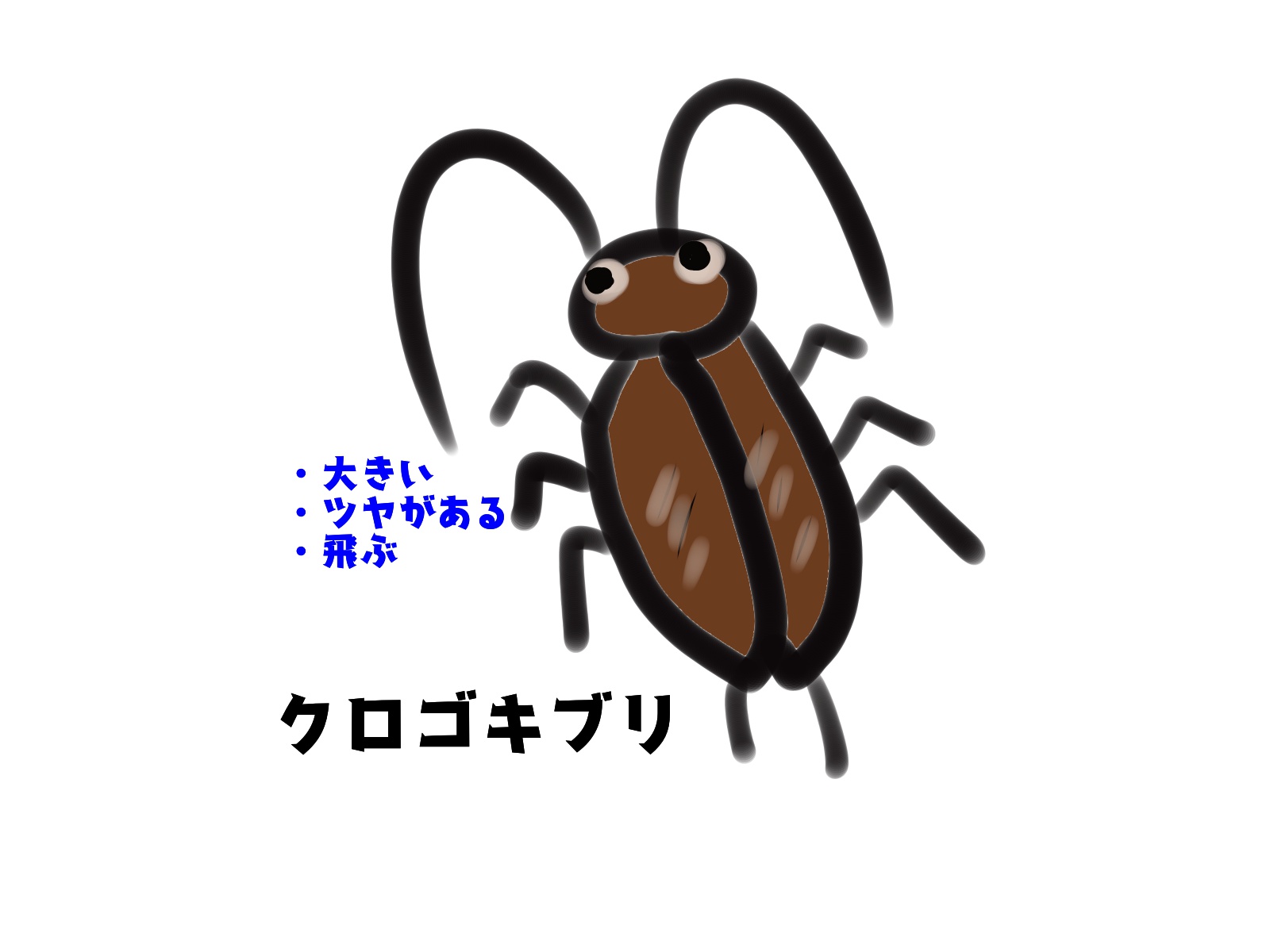 ゴキブリの種類と退治する方法とは カビペディア カビの悩みならカビペディア