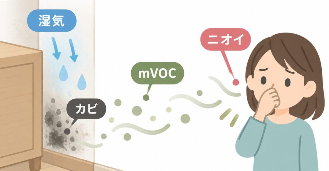 mVOCによるニオイ