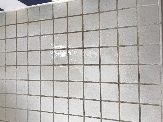風呂タイルのカビ取りお掃除術 カビペディア ハーツクリーン監修年間0万人がみるカビ取り情報サイト