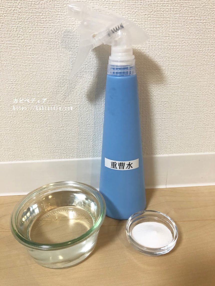 バッグ・服・ソファなどの合皮製品に生えたカビを取るプロの対策法を伝授!