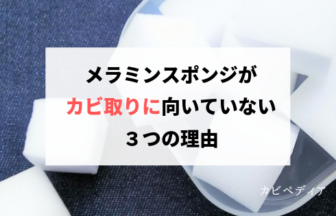 メラミンスポンジでカビを除去しないほうが良い理由 カビペディア