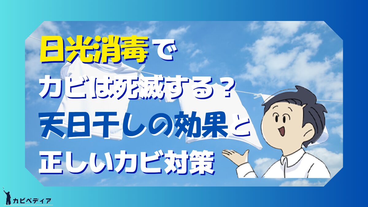 日光消毒でカビは死滅する？
