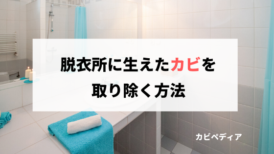 脱衣所はなぜカビが生えやすいの？しつこいカビの落とし方とは？ カビペディア