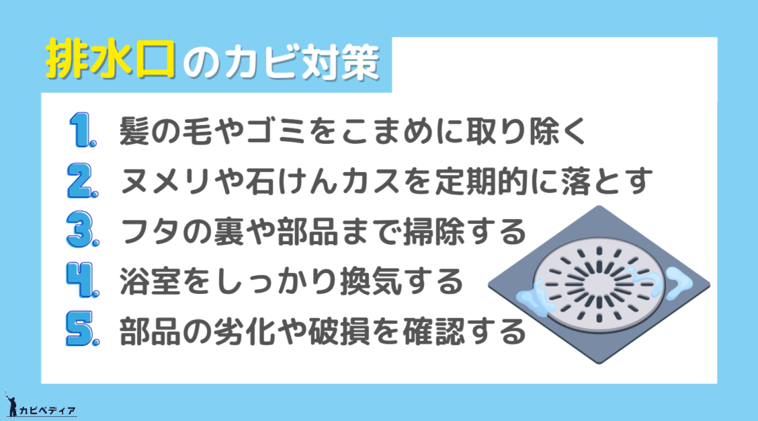 排水口のカビ対策
