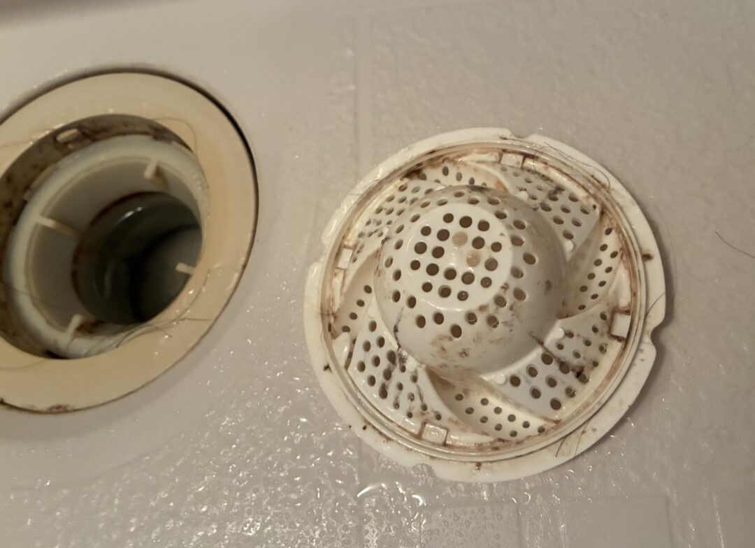 排水口の蓋の裏