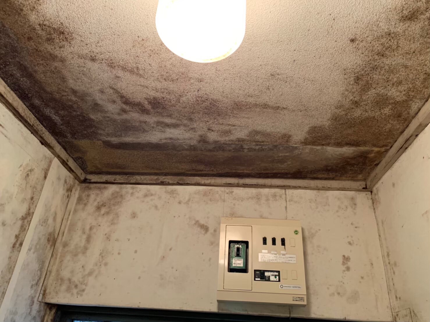 天井のカビを放置すると危険 除去と予防法について解説 カビペディア ハーツクリーン監修年間0万人がみるカビ取り情報サイト