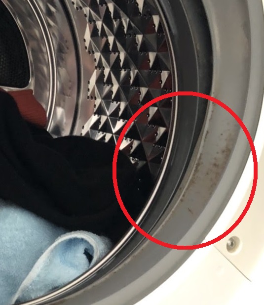 洗濯機のパッキンに生えたカビを取る方法 カビペディア ハーツクリーン監修年間130万人がみるカビ取り情報サイト