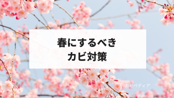 カビ毒とは一体どんなもの カビ毒の種類は カビペディア カビの悩みならカビペディア