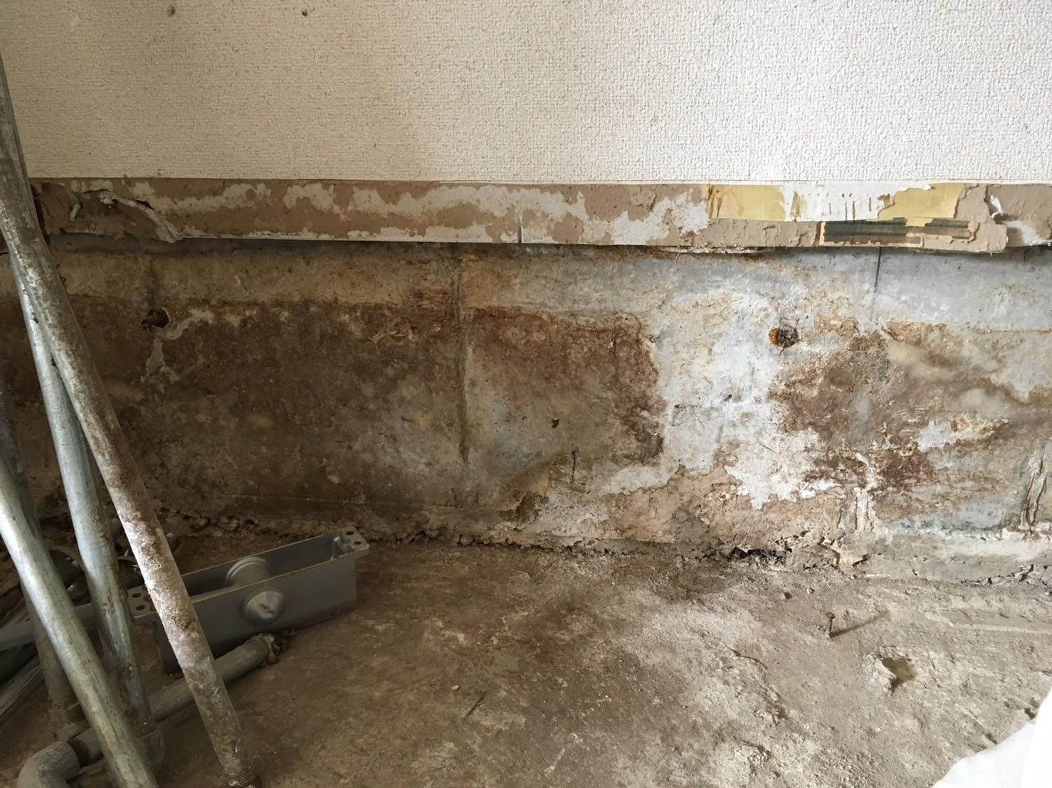 before画像