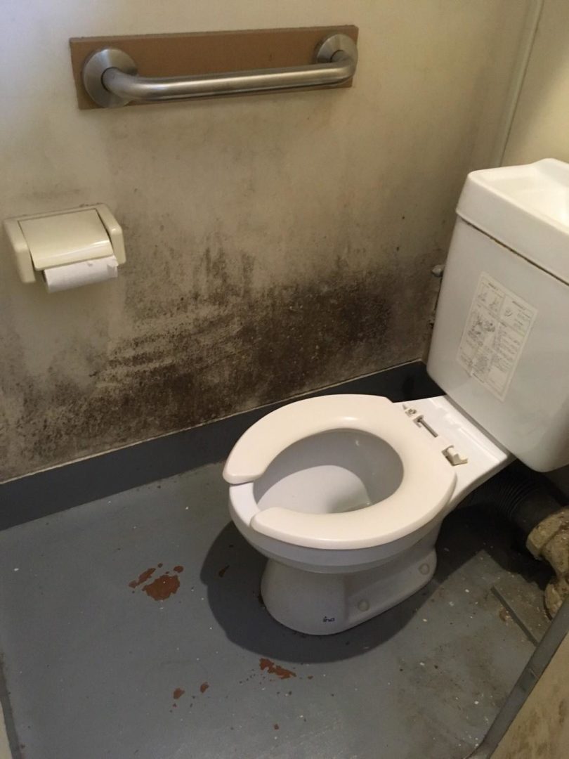 トイレのカビ取り手順をプロが徹底解説 カビペディア ハーツクリーン監修年間0万人がみるカビ取り情報サイト