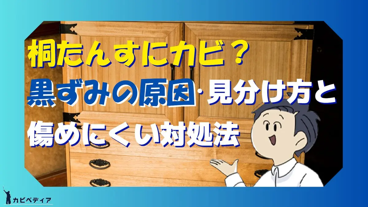 桐たんすにカビ？黒ずみの原因・見分け方と傷めにくい対処法