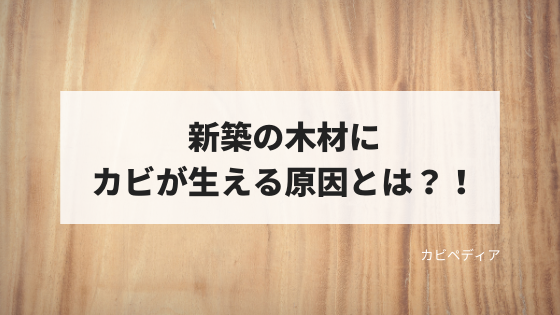 絨毯に生えた黒カビを自力で落とす方法はある カビペディア ハーツクリーン監修年間0万人がみるカビ取り情報サイト