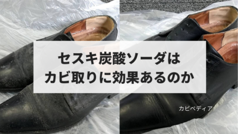 セスキ炭酸ソーダはカビ取りに効果があるのか カビペディア カビの悩みならカビペディア