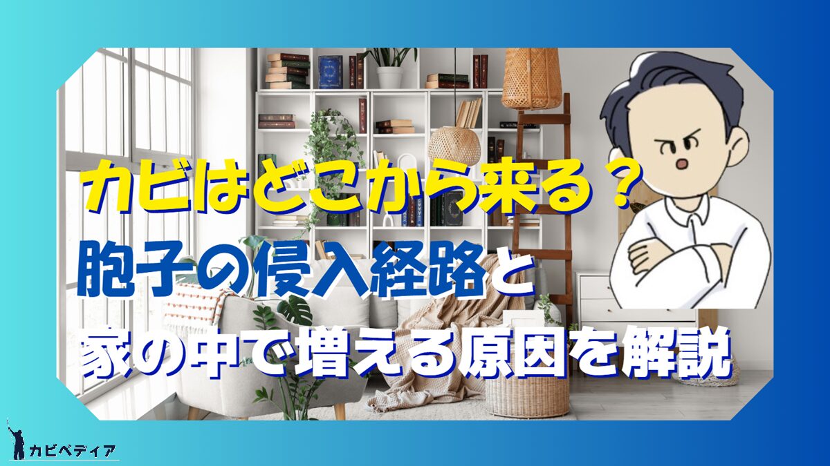 カビはどこから来る？胞子の侵入経路と発生原因