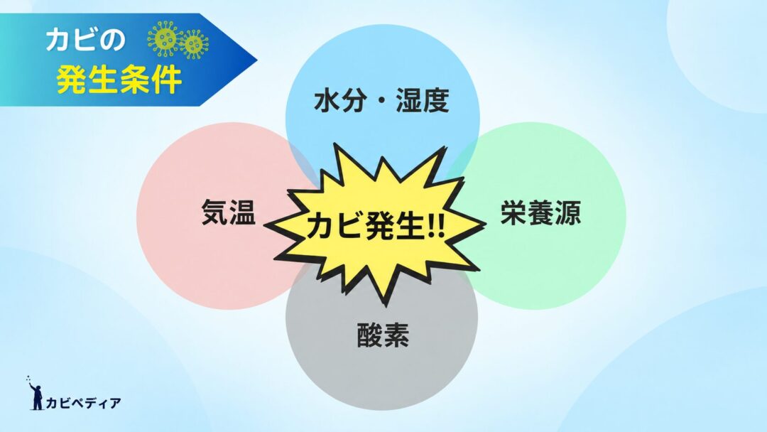 カビの発生条件