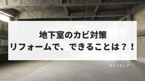 地下室のカビ対策をしたい場合 リフォームでできることは カビペディア ハーツクリーン監修年間0万人がみるカビ取り情報サイト