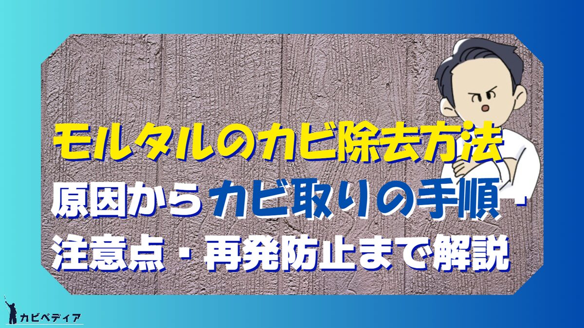 モルタルのカビ除去方法