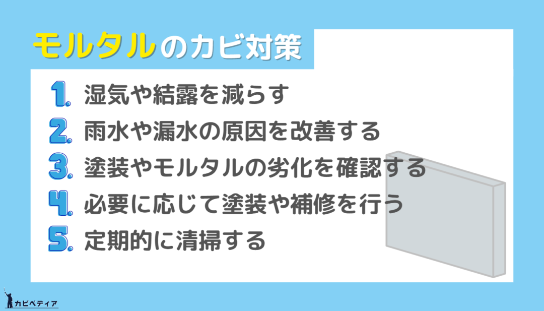 モルタルのカビ対策