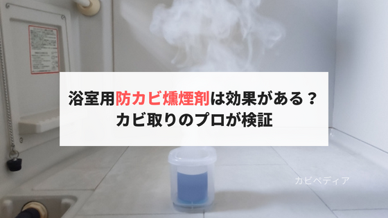 浴室用防カビ燻煙剤は効果がある？カビ取りのプロが検証してみた。