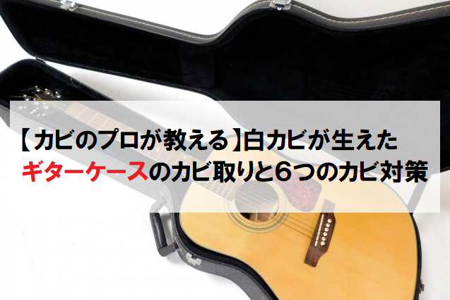 【カビのプロが教える】白カビが生えたギターケースのカビ取りと６つのカビ対策