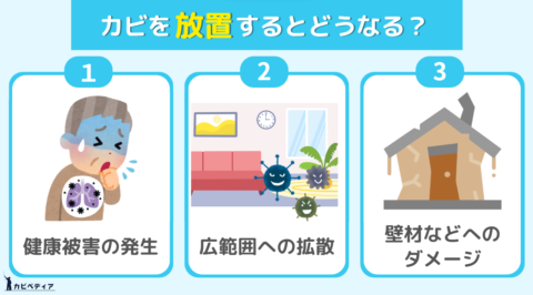 壁の茶色い汚れはカビ!?正しいカビの除去方法と予防策を徹底解説!