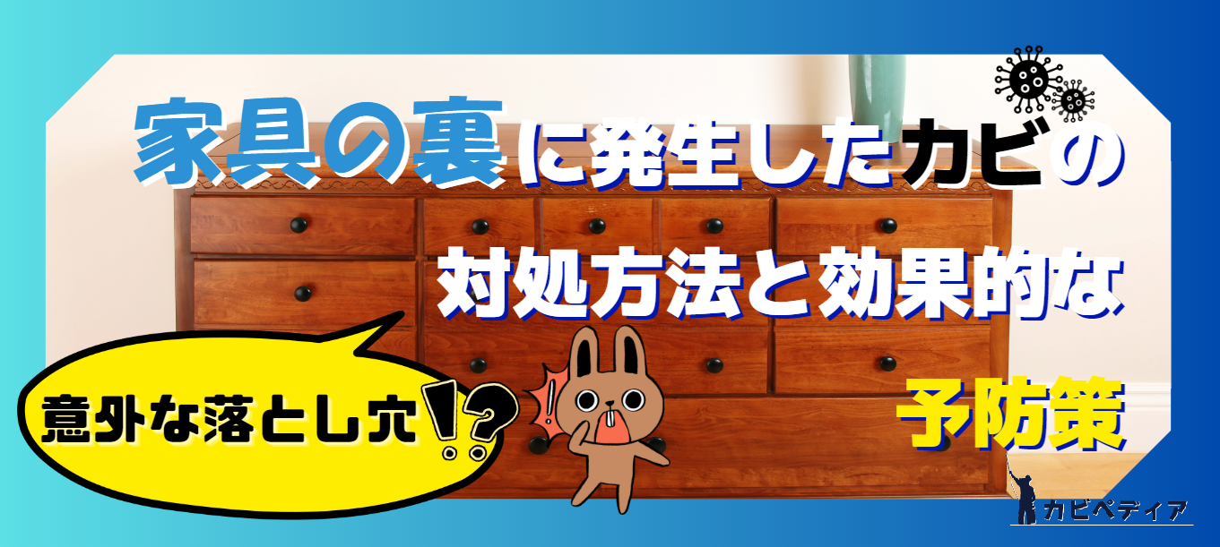 意外な落とし穴！？家具の裏に発生したカビの対処方法と効果的な予防策