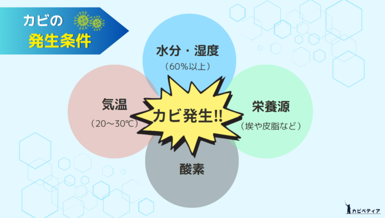 壁の茶色い汚れはカビ!?正しいカビの除去方法と予防策を徹底解説!