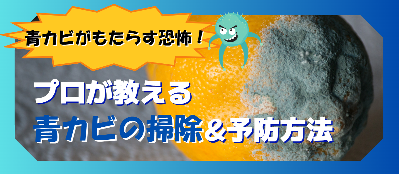 青カビがもたらす恐怖！プロが教える青カビの掃除＆予防方法